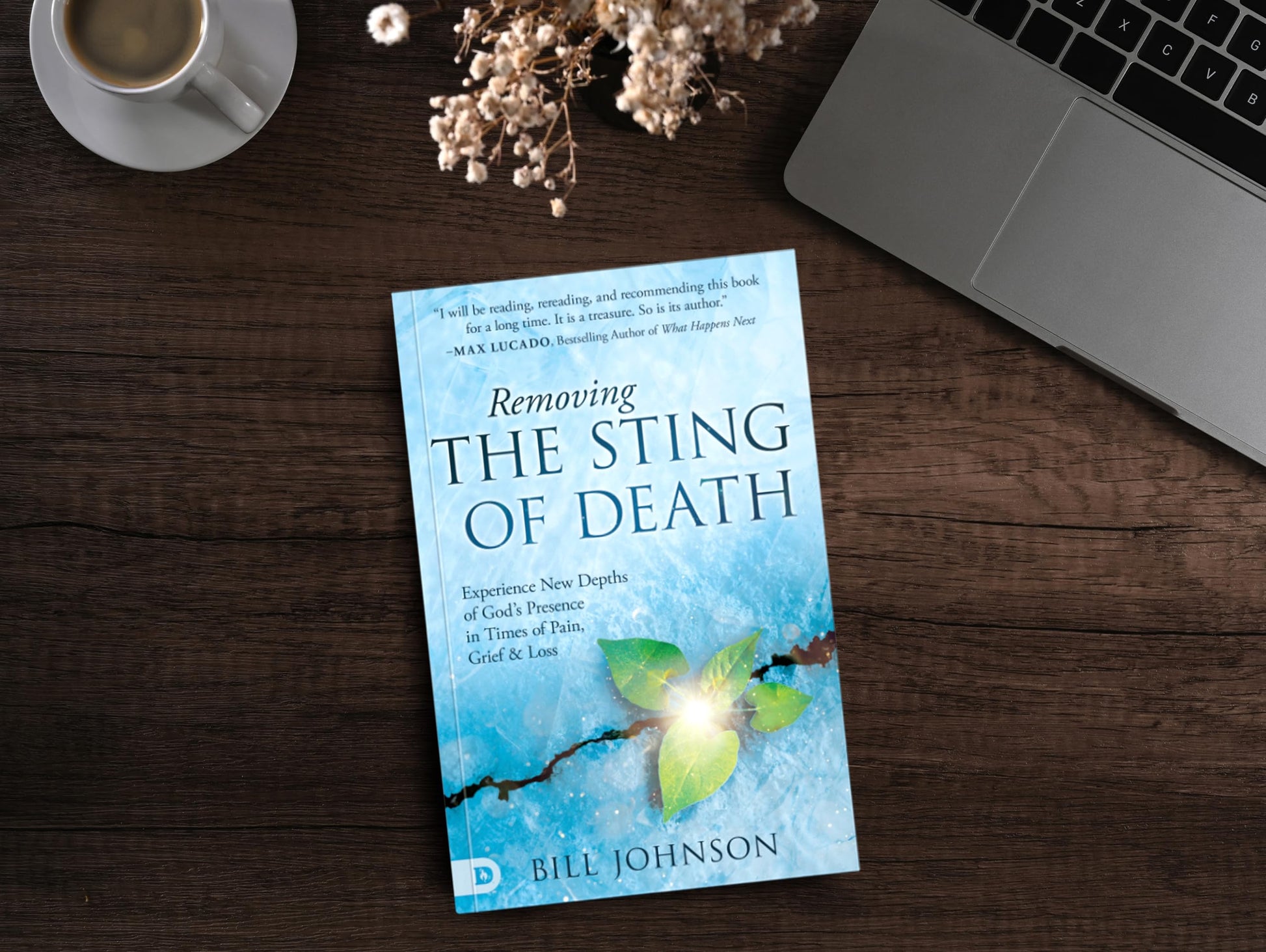 Removing the Sting of Death: Experience New Depths of God's Presence in Times of Pain, Grief and Loss