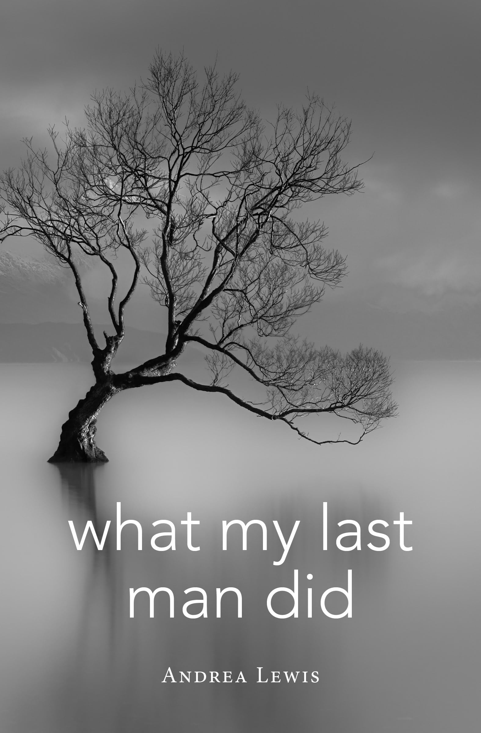 What My Last Man Did (Blue Light Books)