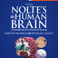 Nolte's The Human Brain: An Introduction to its Functional Anatomy