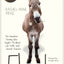 Flash: The Homeless Donkey Who Taught Me about Life, Faith, and Second Chances (Flash the Donkey)