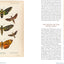 Innumerable Insects: The Story of the Most Diverse and Myriad Animals on Earth (Natural Histories)