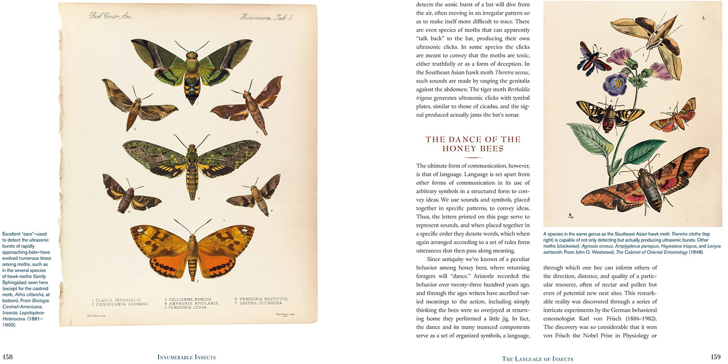 Innumerable Insects: The Story of the Most Diverse and Myriad Animals on Earth (Natural Histories)