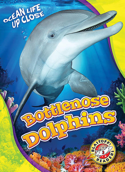 Bottlenose Dolphins (Ocean Life Up Close)