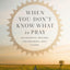 When You Don't Know What to Pray: 100 Essential Prayers for Enduring Life's Storms