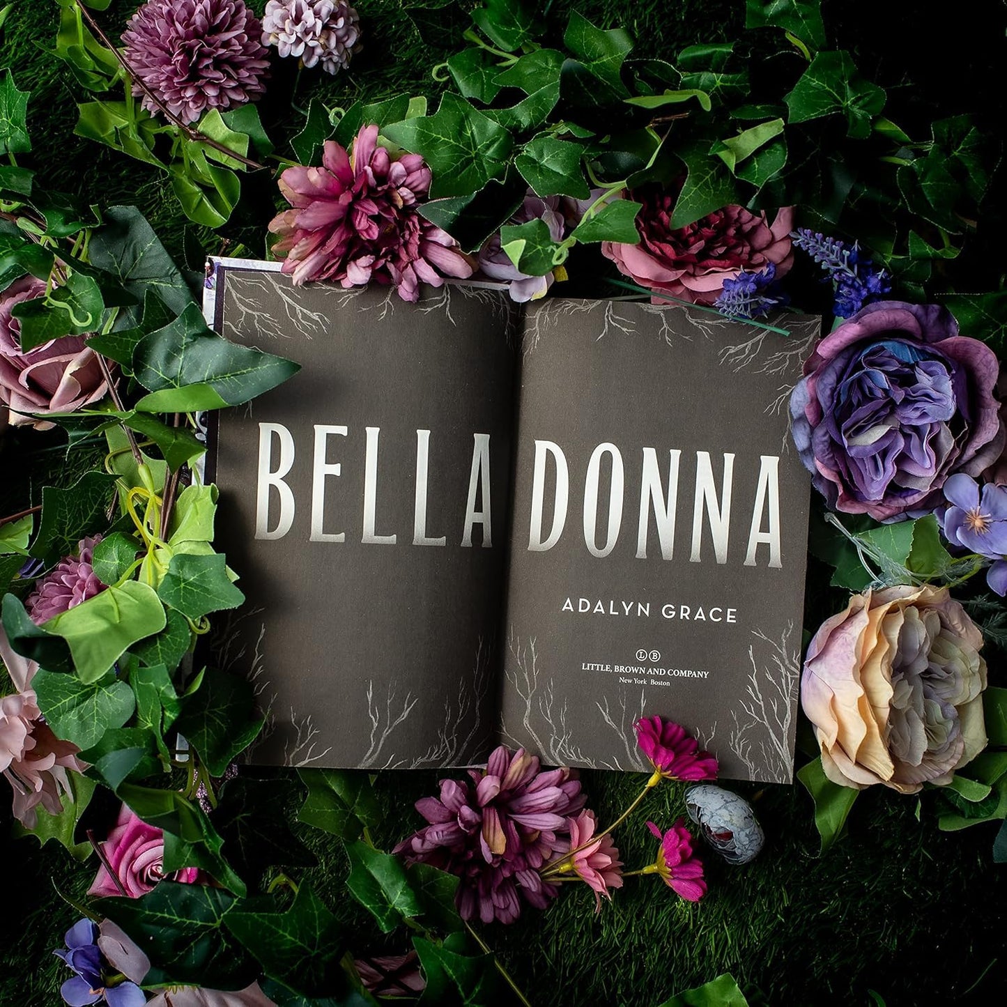 Belladonna (Belladonna, 1)
