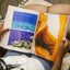 Israel: Beauty, Light, and Luxury (A Vibrant, Full-Color Coffee Table Book with 350 Photos of the Holy Land's Features, Flora, & People. Also Includes 31 Bible Devotionals)