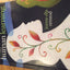 Human Learning (6th Edition)