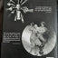 Harold Lloyd: Master Comedian
