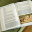 NIV, Biblical Theology Study Bible (Trace the Themes of Scripture)