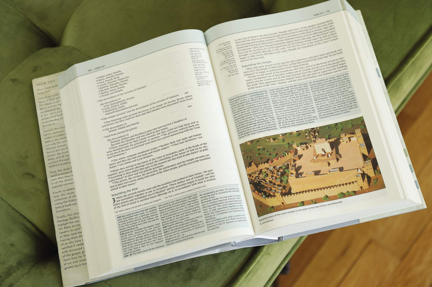 NIV, Biblical Theology Study Bible (Trace the Themes of Scripture)