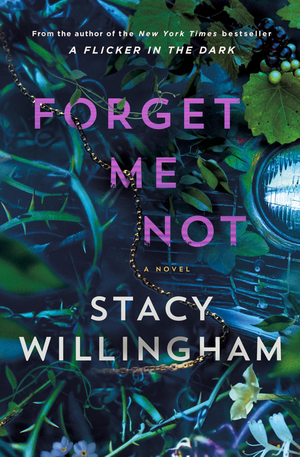 Forget Me Not: A Novel