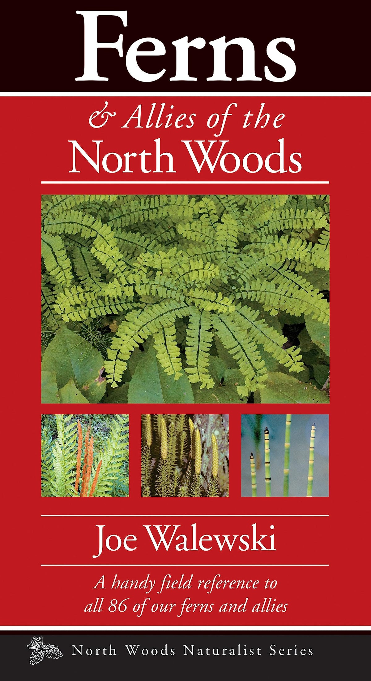 Ferns & Allies of the North Woods: A Handy Field Reference to All 86 of Our Ferns and Allies (Naturalist Series)