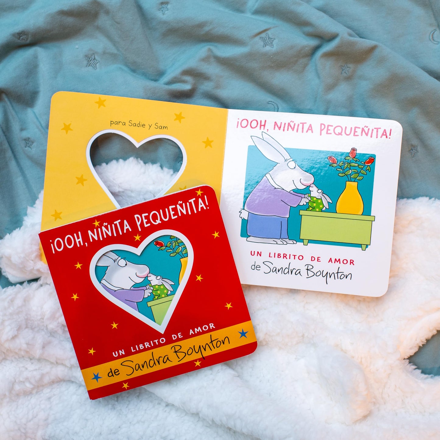 Ooh, niita pequeita! (Ooo, Baby Baby!): Un librito de amor (Un Librito De Amor / a Little Book of Love) (Spanish Edition)