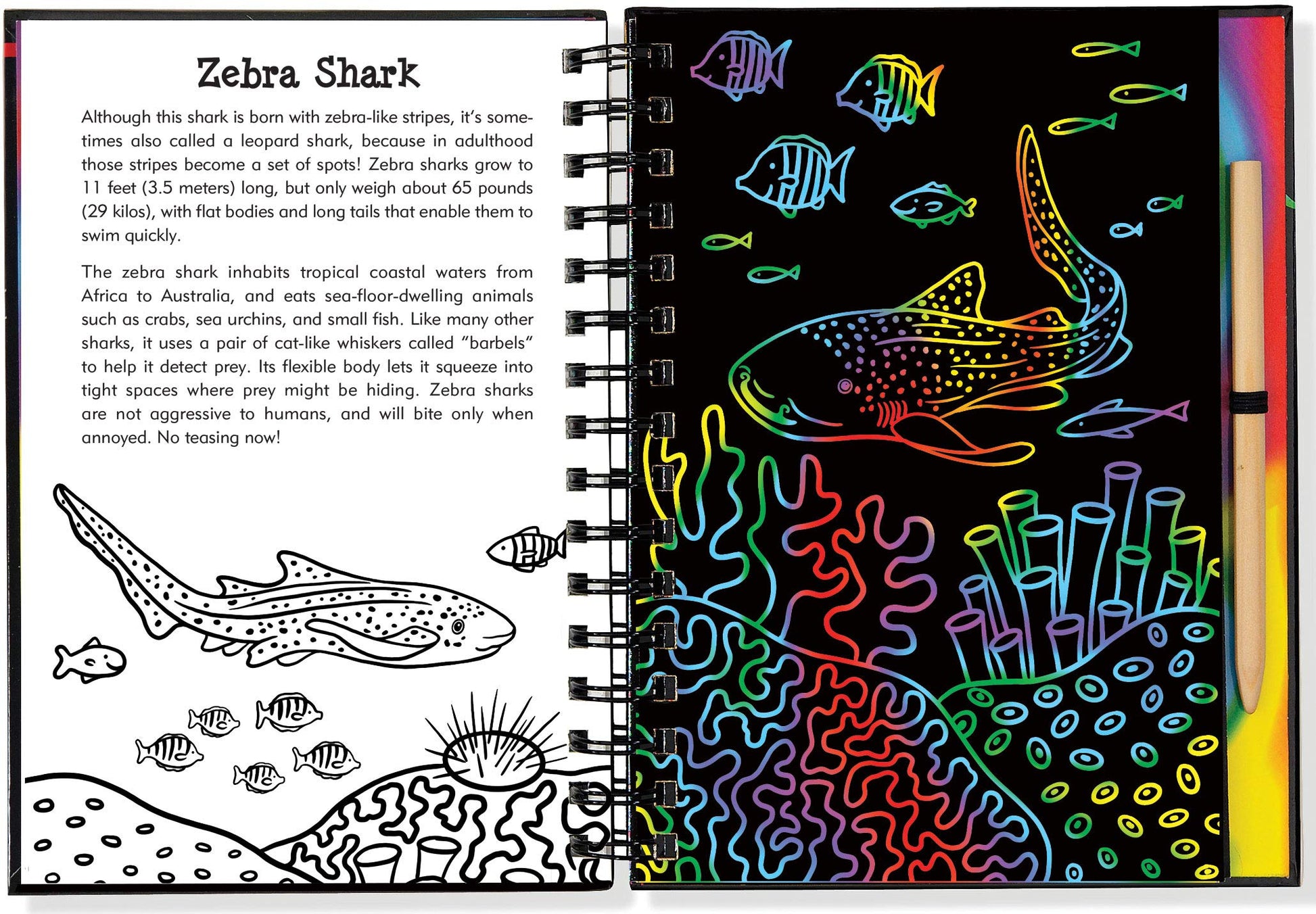 Scratch & Sketch Sharks (Trace Along)