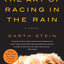 The Art of Racing in the Rain: A Novel