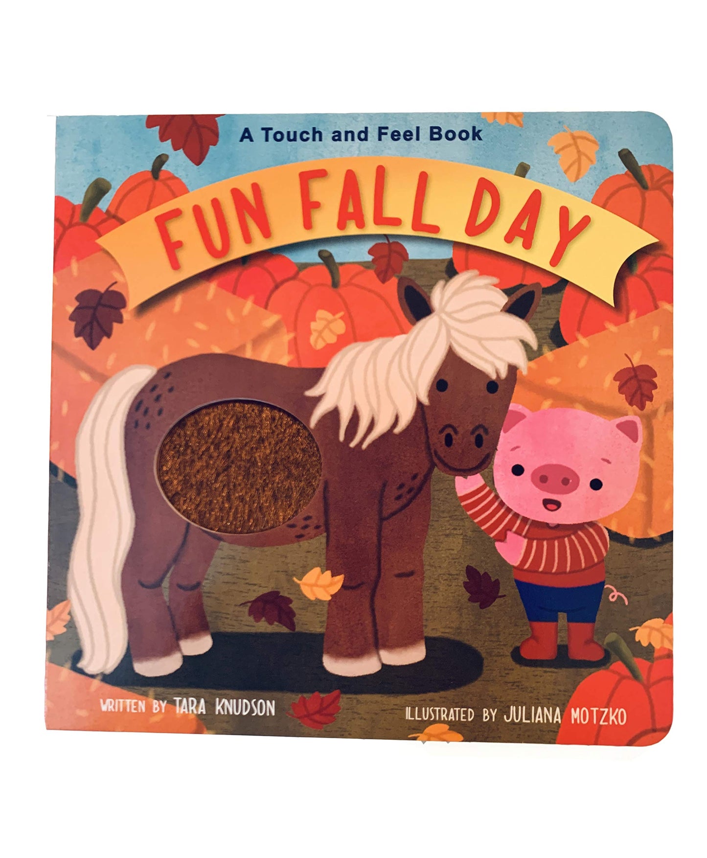 Fun Fall Day: A Touch and Feel Board Book