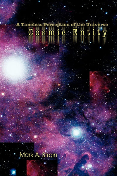 Cosmic Entity: A Timeless Perception of the Universe