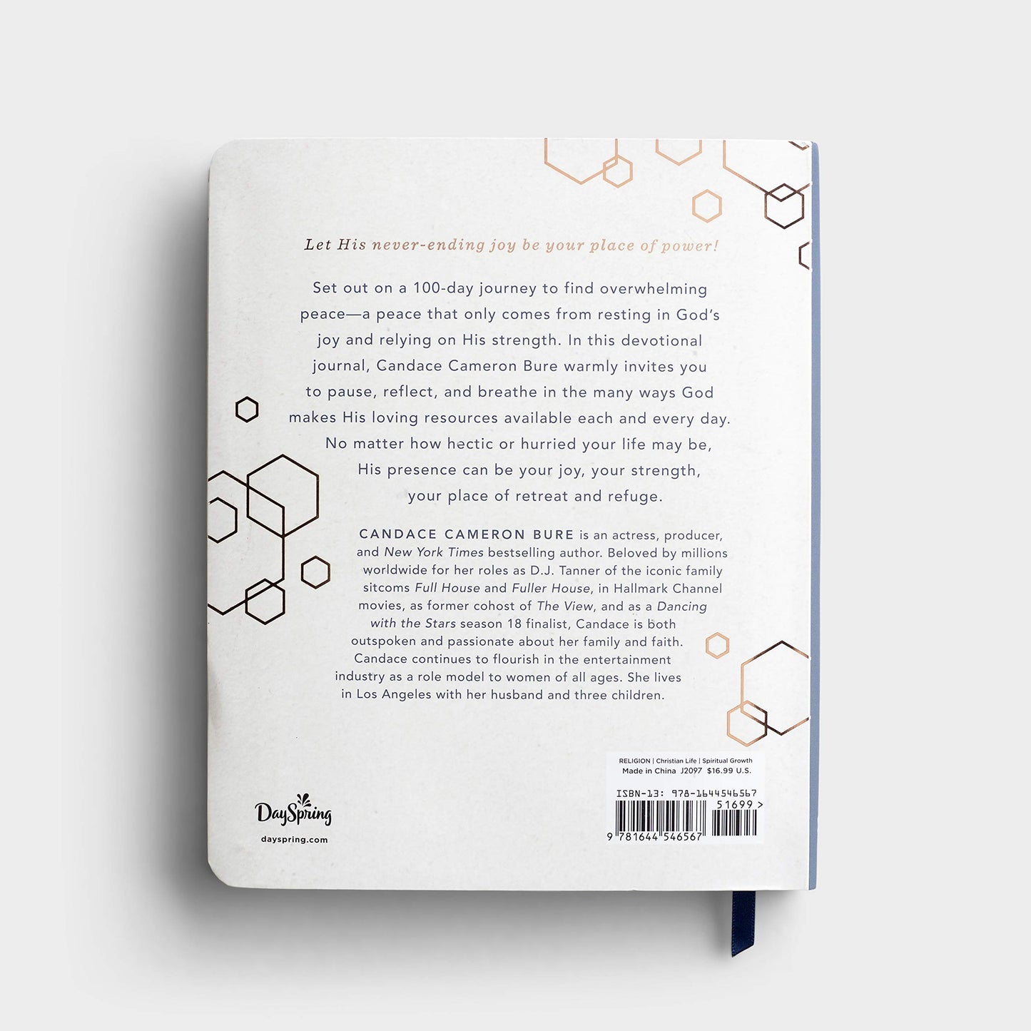 100 Days of Joy and Strength: A Devotional Journal by Candac