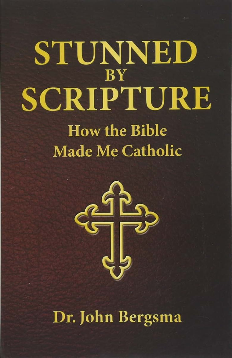 Stunned by Scripture: How the Bible Made Me Catholic by Berg