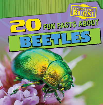 20 Fun Facts About Beetles (Fun Fact File)