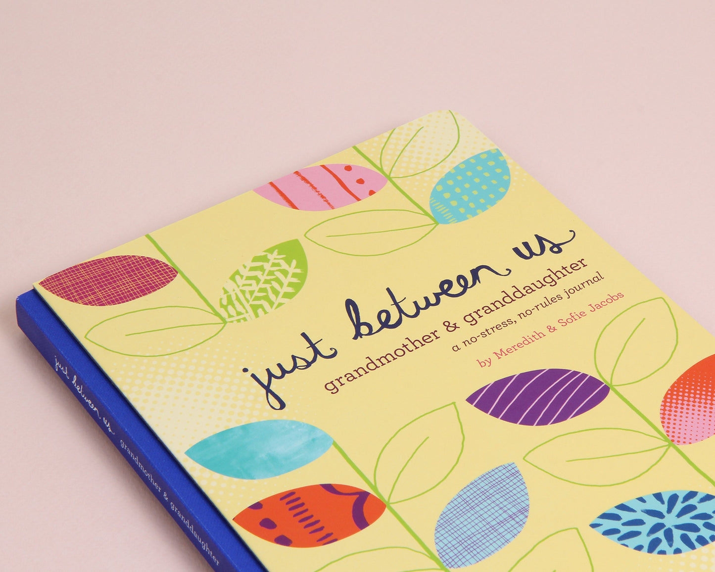 Just Between Us: Grandmother & Granddaughter - A No-Stress, No-Rules Journal (Grandmother Gifts, Gifts for Granddaughters, Grandparent Books, Girls Writing Journal)