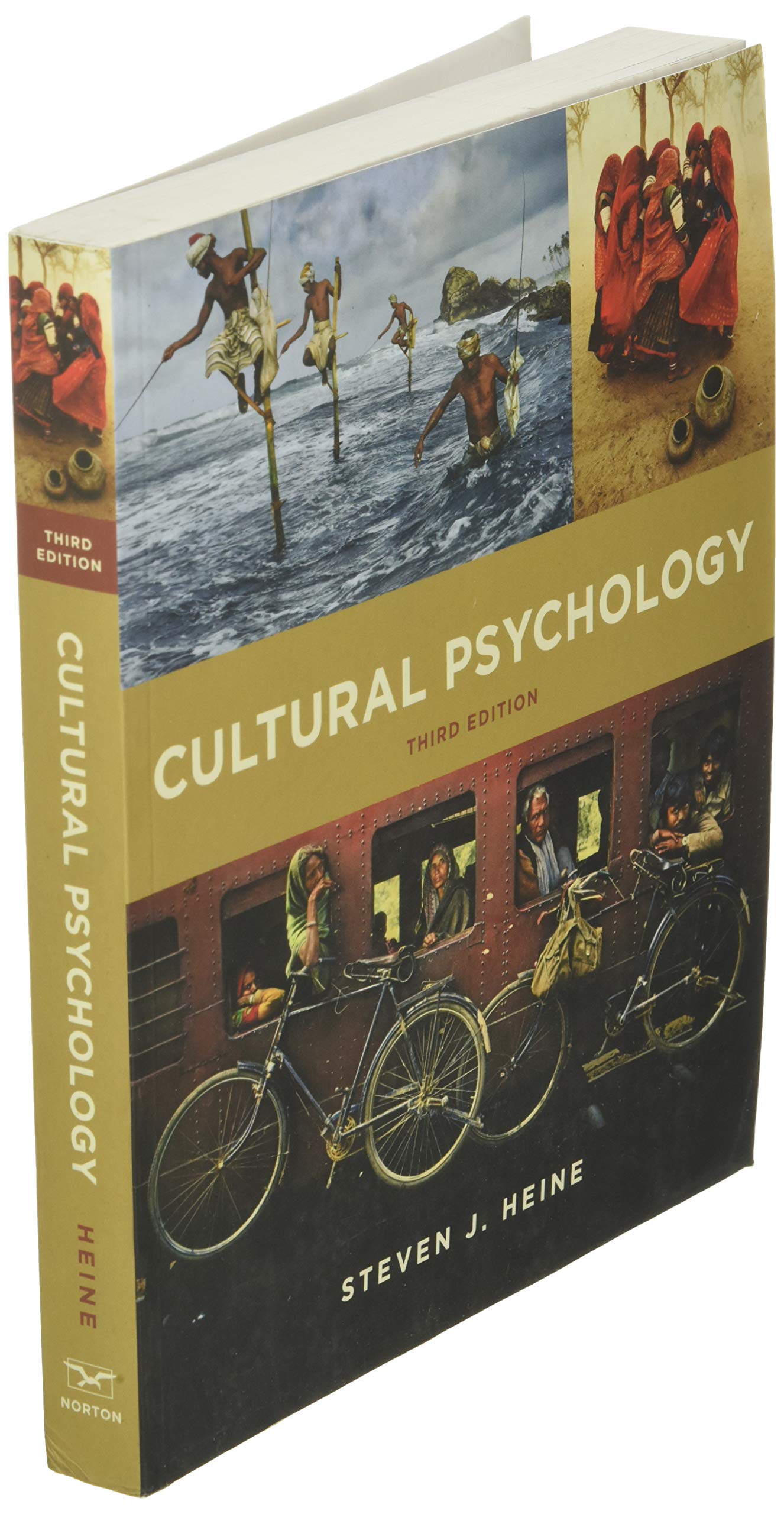 Cultural Psychology by Heine, Steven J.