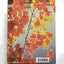 Mosdos Press Literature: Gold - Student Textbook