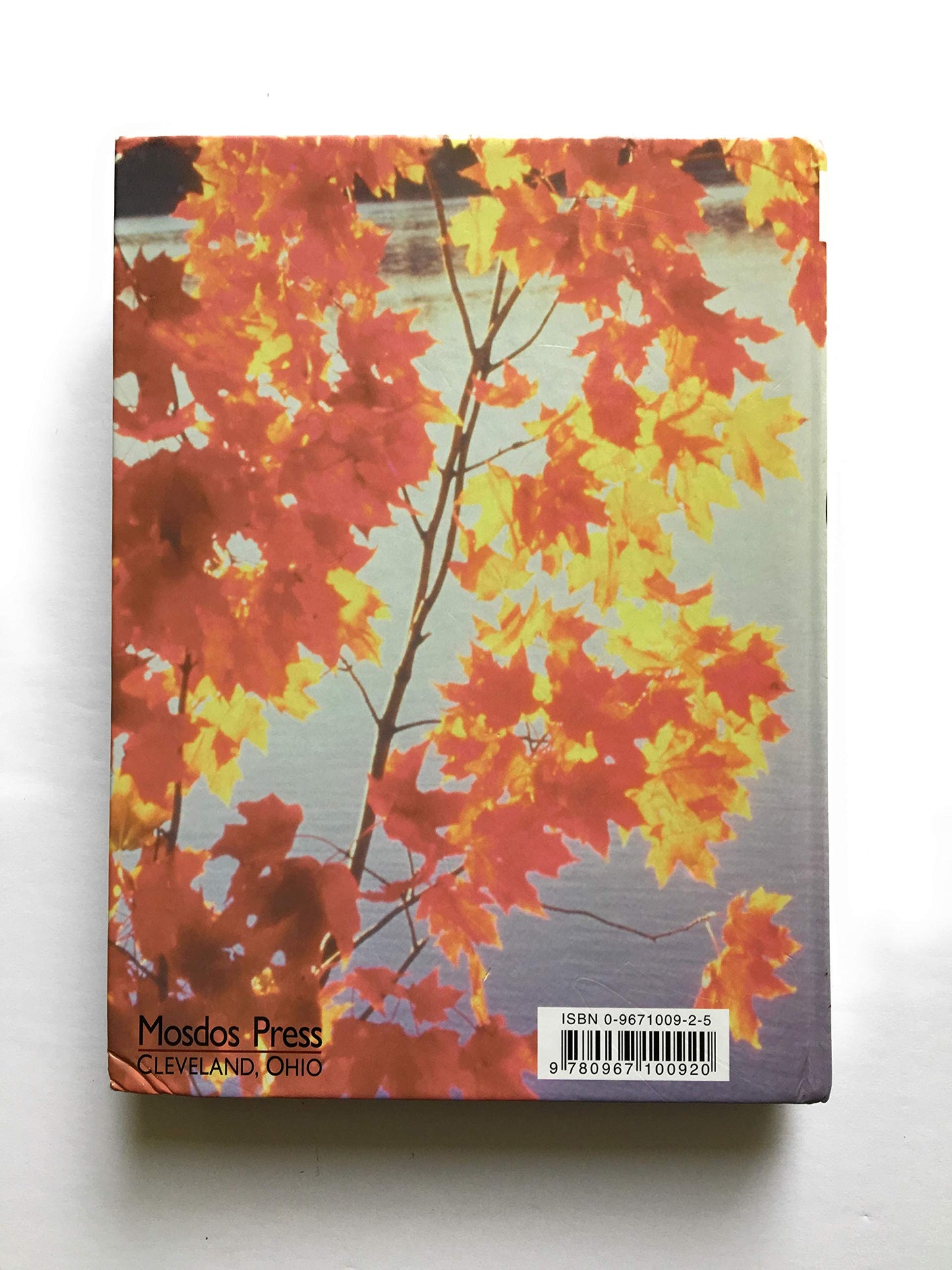Mosdos Press Literature: Gold - Student Textbook