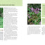 Groundcover Revolution: How to use sustainable, low-maintenance, low-water groundcovers to replace your turf - 40 alternative choices for: - No Mowing. - No fertilizing. - No pesticides. - No problem!