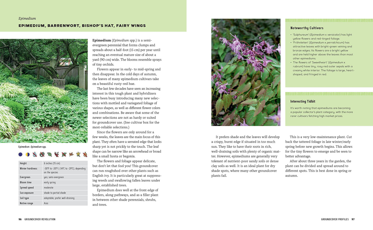 Groundcover Revolution: How to use sustainable, low-maintenance, low-water groundcovers to replace your turf - 40 alternative choices for: - No Mowing. - No fertilizing. - No pesticides. - No problem!