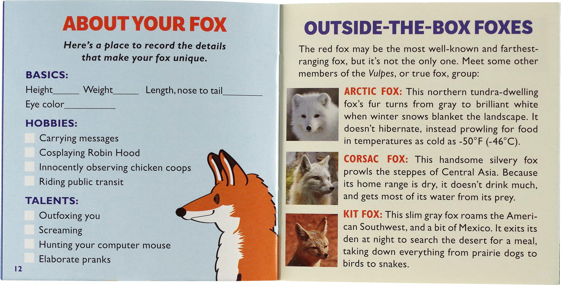 Hug a Fox Kit (Book with Plush)