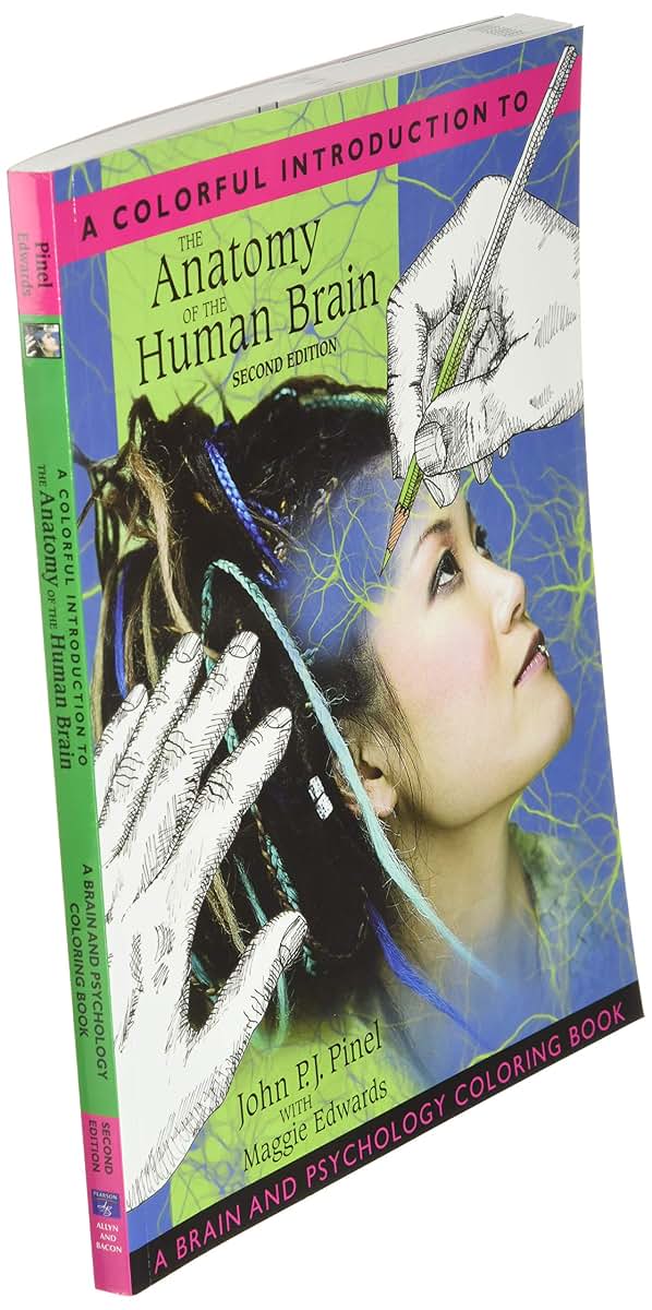 Colorful Introduction to the Anatomy of the Human Brain, A
