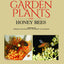 Garden Plants for Honey Bees