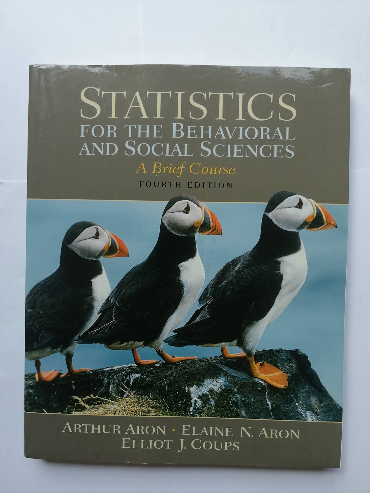 Statistics for the Behavioral and Social Sciences: A Brief Course