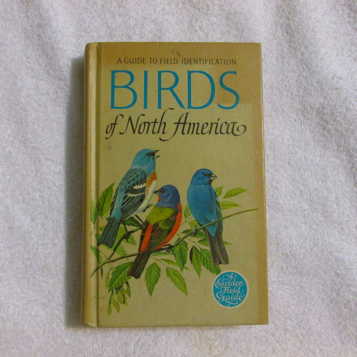 Birds of North America: A Guide to Field Identification