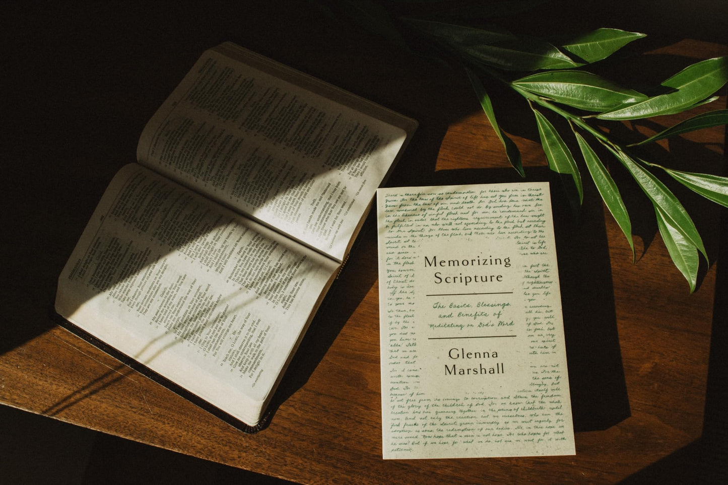 Memorizing Scripture: The Basics, Blessings, and Benefits of Meditating on God's Word