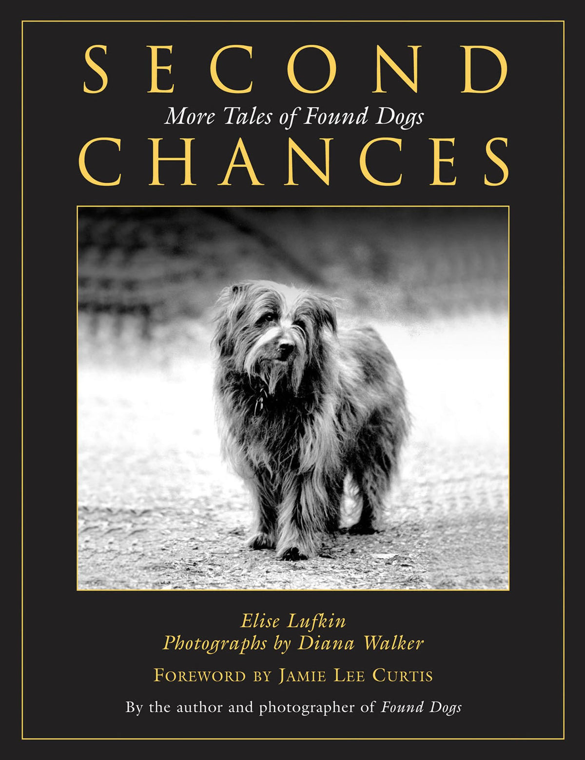 Second Chances: More Tales Of Found Dogs