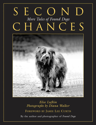 Second Chances: More Tales Of Found Dogs