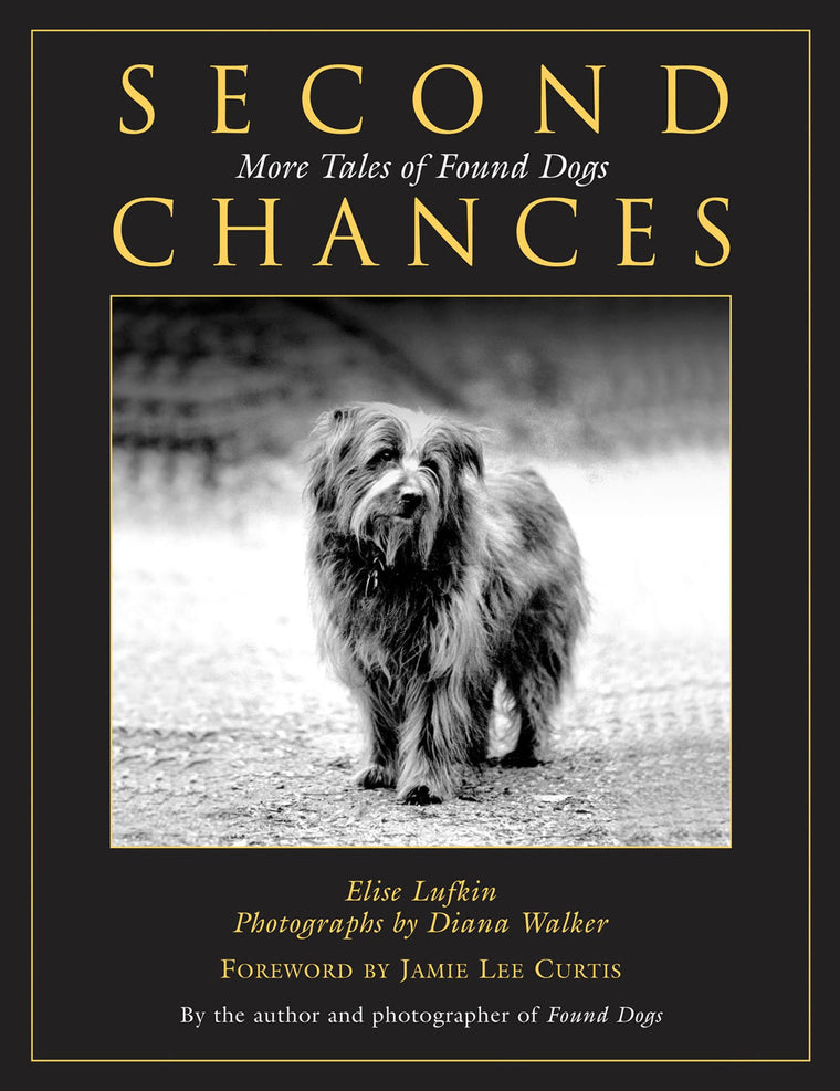 Second Chances: More Tales Of Found Dogs