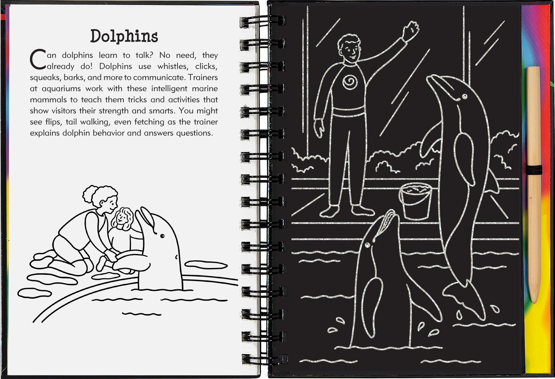 Scratch & Sketch At the Aquarium (Trace Along)