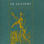 Renaissance Fictions of Anatomy