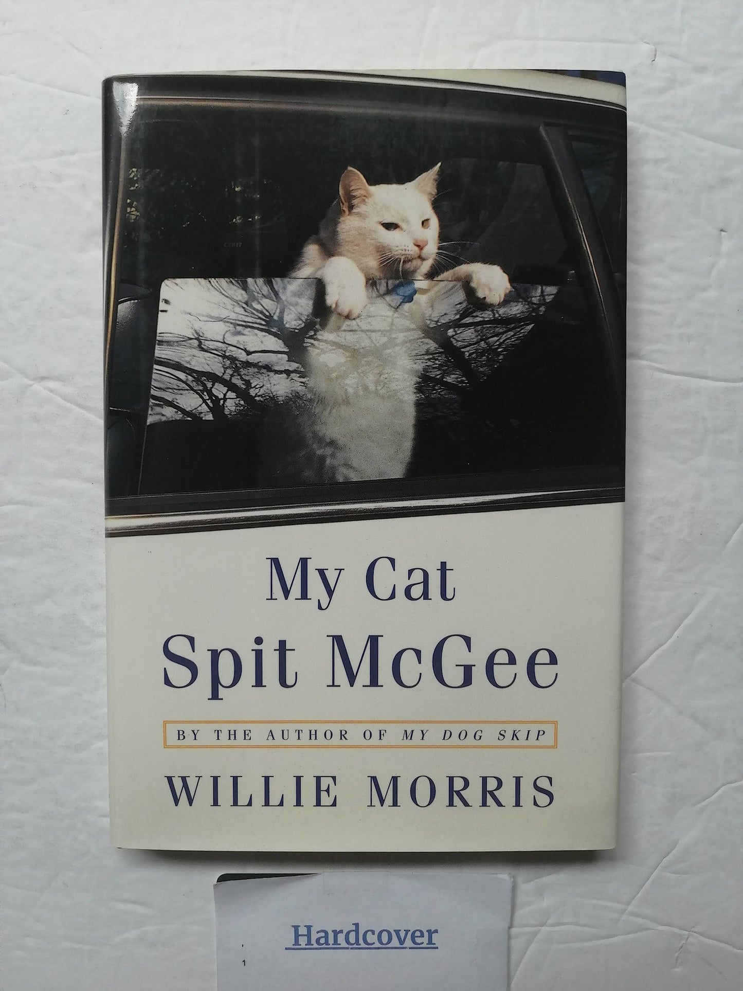 My Cat Spit McGee