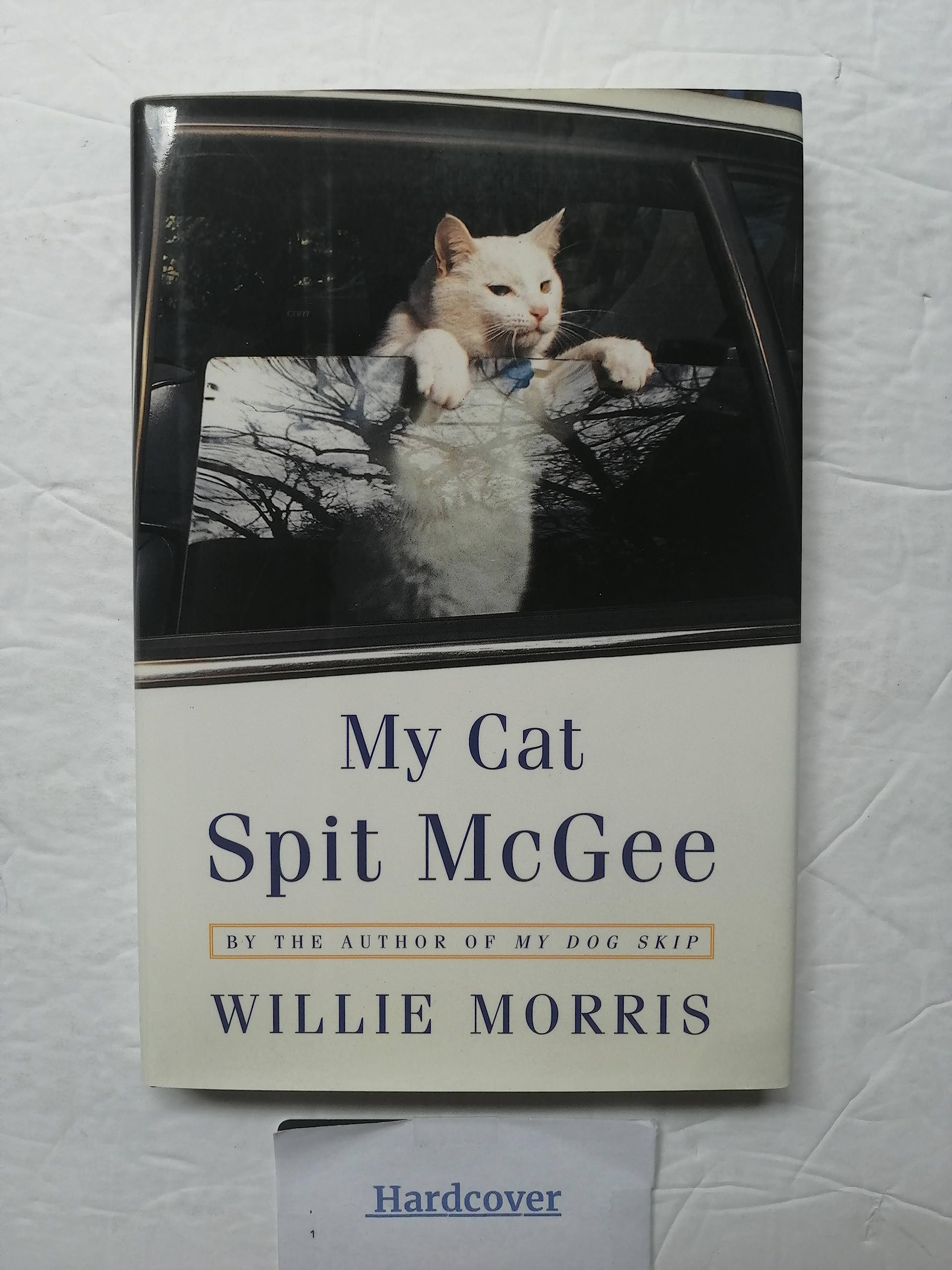 My Cat Spit McGee