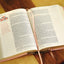 NIV, Journal the Word Bible for Women, Leathersoft, Brown/Pi