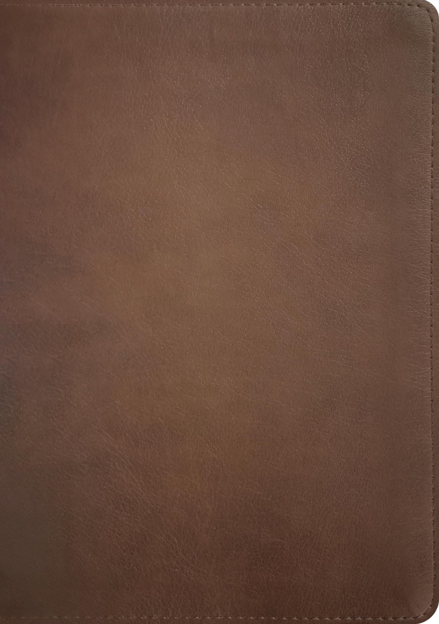NLT Life Recovery Bible, Second Edition (LeatherLike, Rustic Brown)