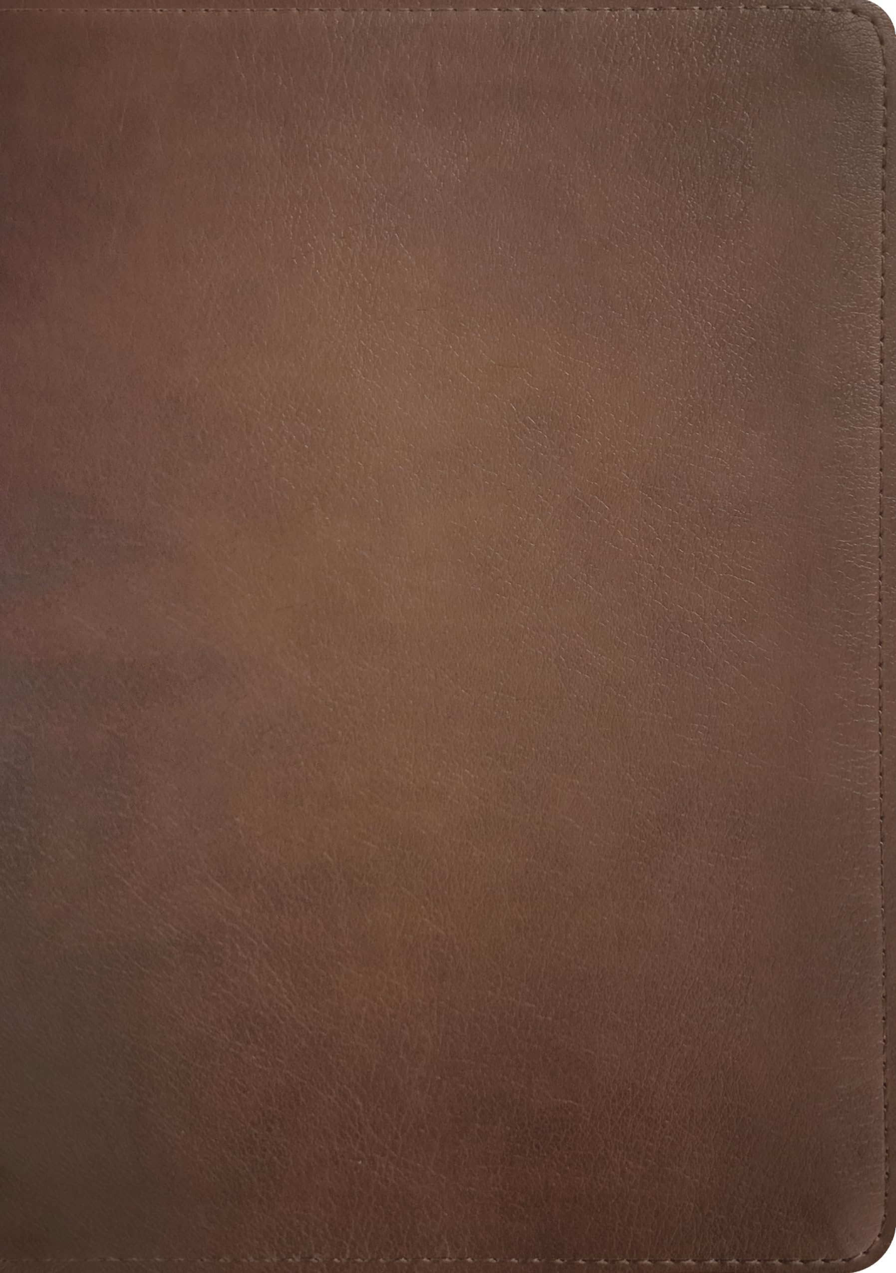 NLT Life Recovery Bible, Second Edition (LeatherLike, Rustic Brown)