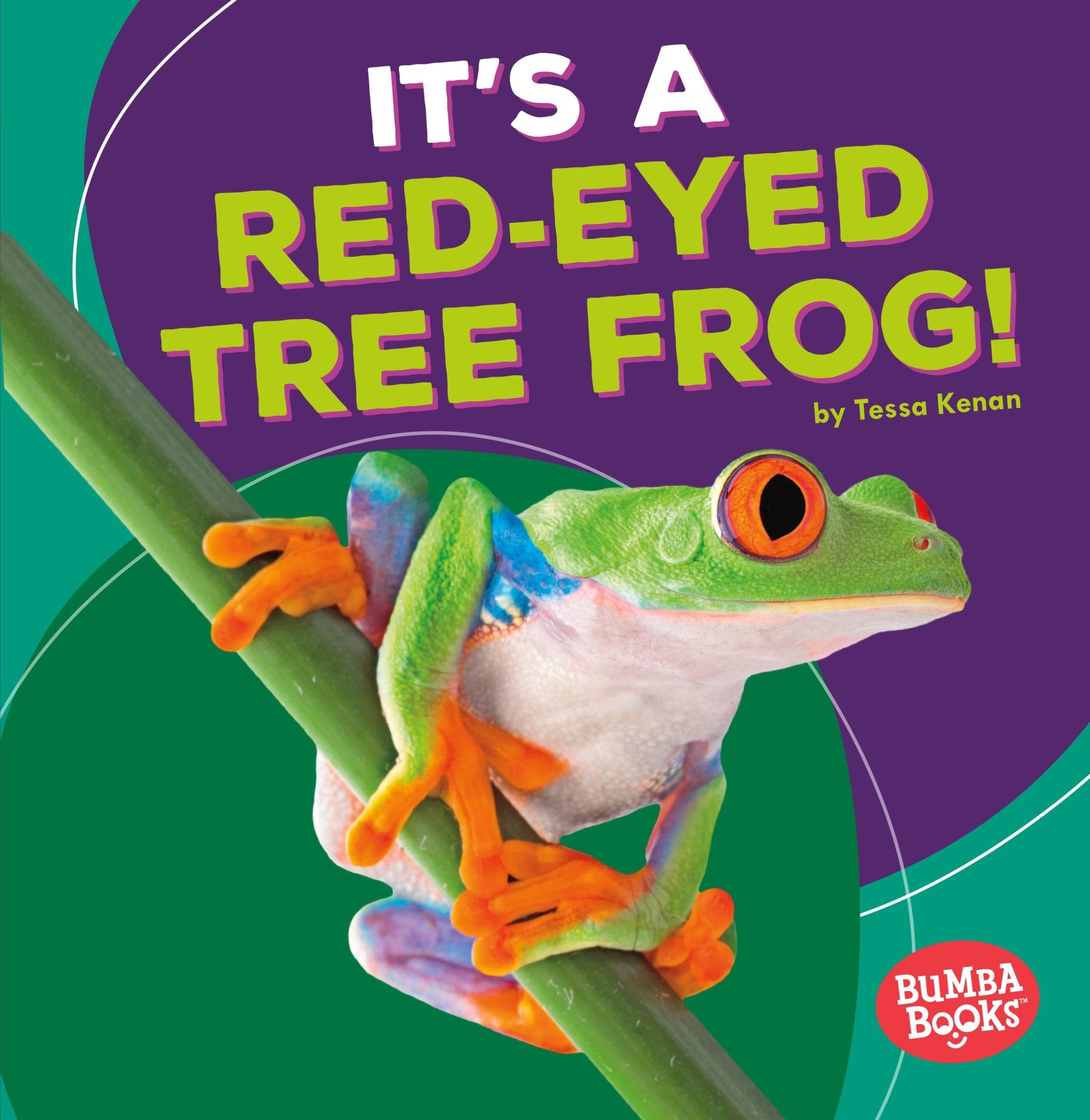 It's a Red-Eyed Tree Frog! (Bumba Books  - Rain Forest Animals)