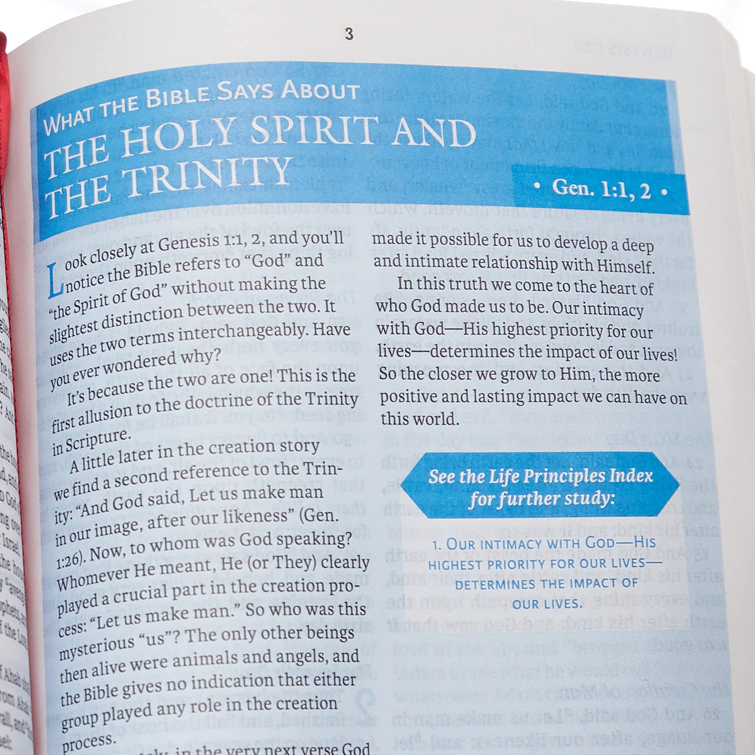 NASB, Charles F. Stanley Life Principles Bible, 2nd Edition, Leathersoft, Black, Thumb Indexed, 1995 Text, Comfort Print: Holy Bible, New American Standard Bible