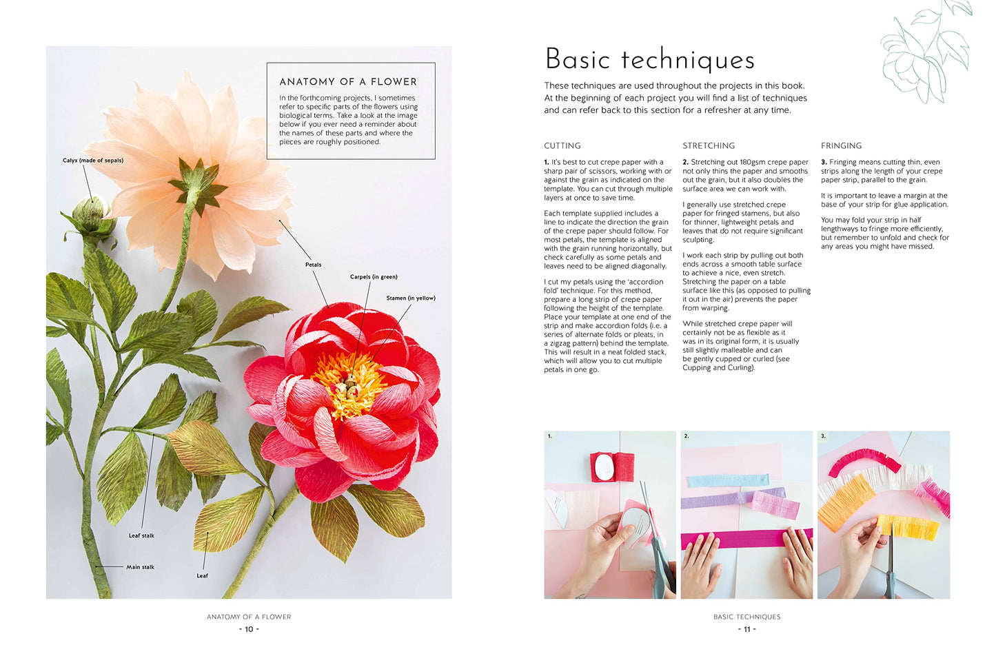 Crepe Paper Blooms, Bugs and Butterflies: Over 20 colourful paper projects from Miss Petal & Bloom