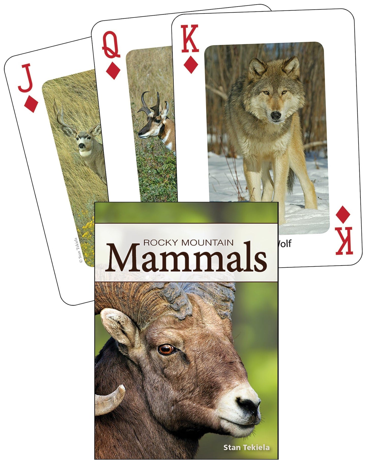 Mammals of the Rocky Mountains Playing Cards (Nature's Wild Cards)